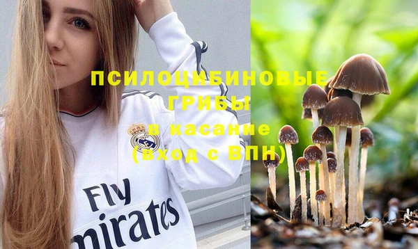 mix Костерёво