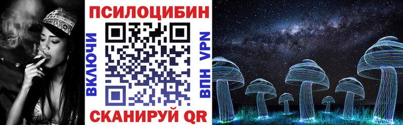 Псилоцибиновые грибы ЛСД  mega маркетплейс  Чаплыгин 